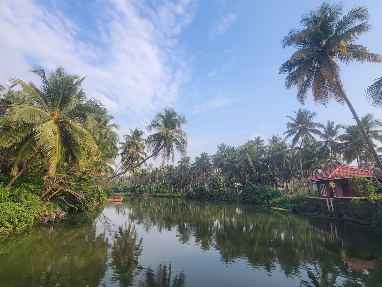 Kerala backwater with red-roofed house among palms