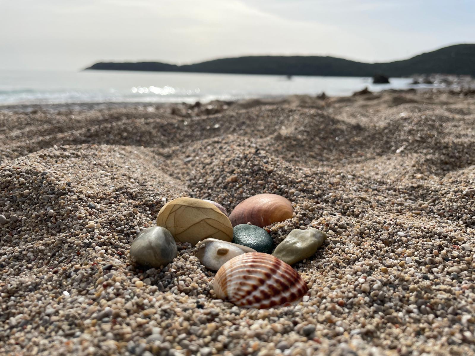 Shells and stones on the beach