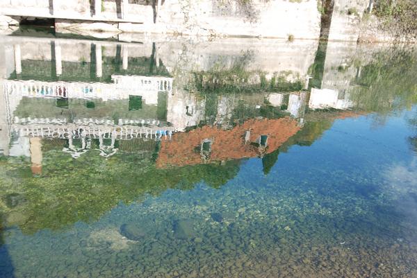 Reflection of houses and trees in the Crnojević River